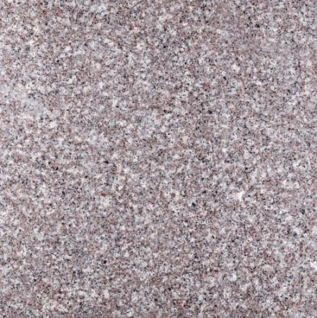 9955