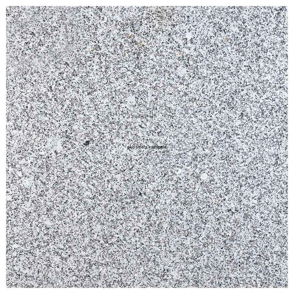 6919